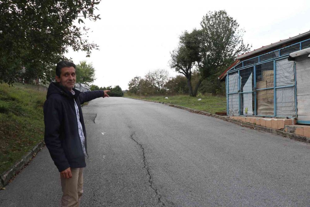 SAKARYA'NIN ADAPAZARI İLÇESİNDE BAKKALDAN EKMEK ALARAK EVİNE DÖNEN 7 YAŞINDAKİ KIZA SOKAK KÖPEKLERİ SALDIRDI
