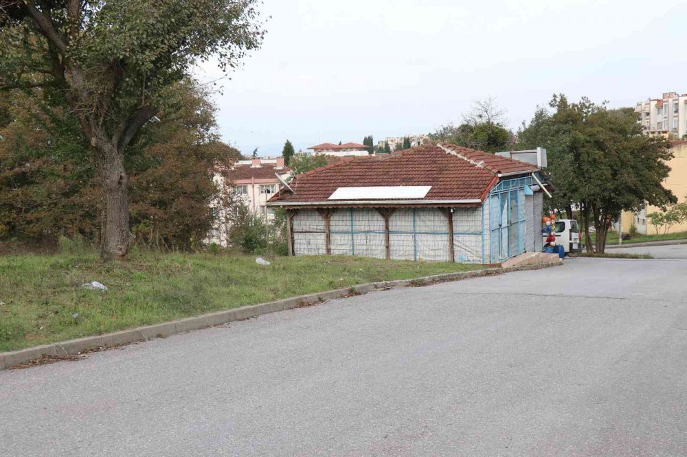 SAKARYA'NIN ADAPAZARI İLÇESİNDE BAKKALDAN EKMEK ALARAK EVİNE DÖNEN 7 YAŞINDAKİ KIZA SOKAK KÖPEKLERİ SALDIRDI