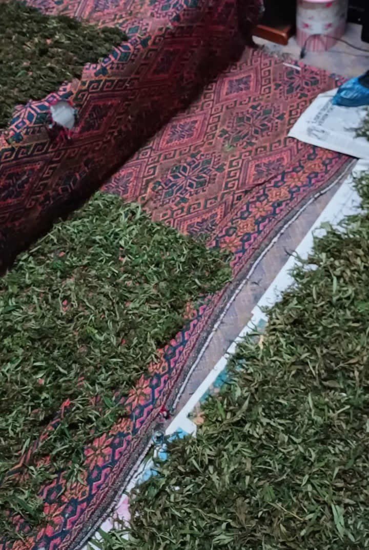 SAMSUN'DA NARKOTİK POLİSİ TARAFINDAN SOKAK SATICILARINA YÖNELİK DÜZENLENEN OPERASYONDA 9 KİLO 975 GRAM KUBAR ESRAR ELE GEÇİRİLDİ, 8 KİŞİ GÖZALTINA ALINDI