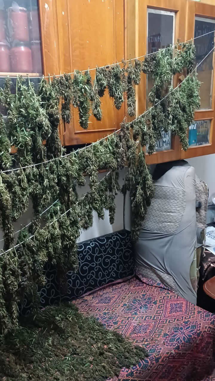 SAMSUN'DA NARKOTİK POLİSİ TARAFINDAN SOKAK SATICILARINA YÖNELİK DÜZENLENEN OPERASYONDA 9 KİLO 975 GRAM KUBAR ESRAR ELE GEÇİRİLDİ, 8 KİŞİ GÖZALTINA ALINDI