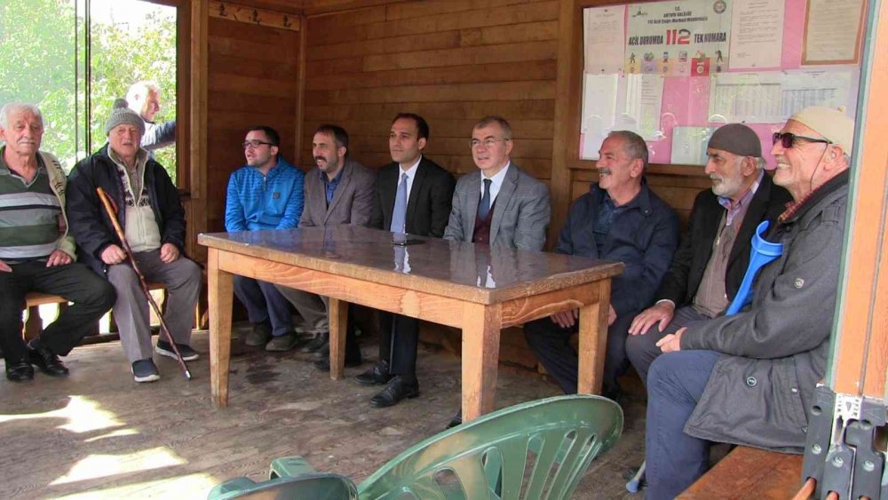ARTVİN'İN BORÇKA İLÇESİNE BAĞLI CAMİLİ (MACAHEL) KÖYÜNE EVLERİ AHIRLARI KAHVERENGİ KOKARCA BÖCEĞİ SARDI
