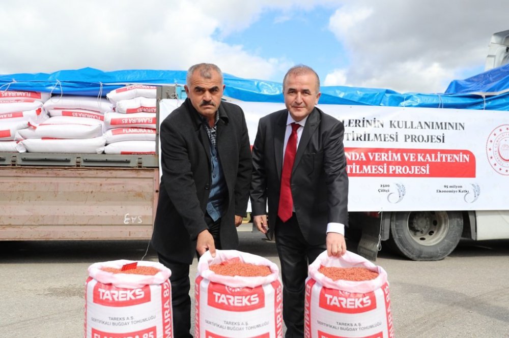 TOKAT’TA 2 BİN 500 ÇİFTÇİYE BUĞDAY TOHUMU DAĞITILDI