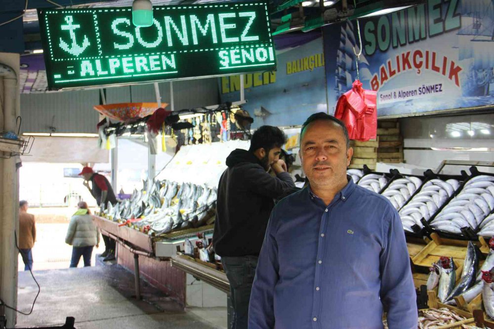 ZONGULDAK'IN EREĞLİ İLÇESİNDE GEÇTİĞİMİZ HAFTA BÜYÜKLÜĞÜNE GÖRE TANESİ 60-70 TL ARASINDA DEĞİŞEN FİYATLARDAN SATILAN PALAMUT BU HAFTA TANESİ 25 TL'DEN SATILMAYA BAŞLADI