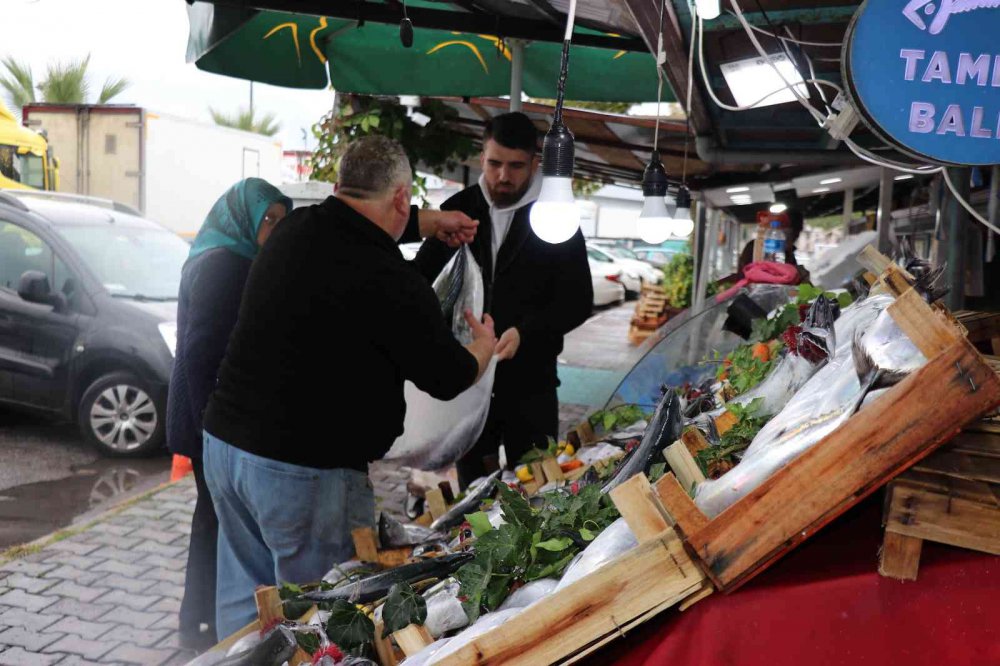 ZONGULDAK'IN EREĞLİ İLÇESİNDE GEÇTİĞİMİZ HAFTA BÜYÜKLÜĞÜNE GÖRE TANESİ 60-70 TL ARASINDA DEĞİŞEN FİYATLARDAN SATILAN PALAMUT BU HAFTA TANESİ 25 TL'DEN SATILMAYA BAŞLADI