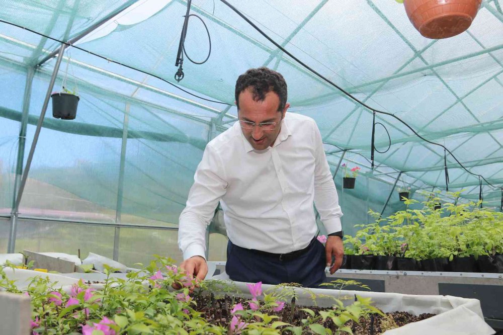 TRABZON'UN AKÇAABAT İLÇE BELEDİYESİ , KENDİ KURDUĞU SERALAR SAYESİNDE HEM KENDİ İHTİYACINI KARŞILIYOR HEMDE BÖLGEDEKİ ÇİFTÇİLERİN FİDAN İHTİYACINI KARŞILIYOR