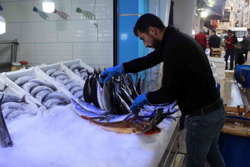 SİNOP'TA BALIKÇILARIN AĞLARINA TAKILAN VE NADİR RASTLANAN 3 KİLOGRAMLIK KIRLANGIÇ BALIĞI, KİLOSU 230 TL'DEN SATIŞA SUNULDU