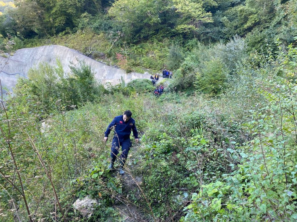 BARTIN'IN AMASRA İLÇESİNDE DÜN SABAH EVİNDEN ÇIKARAK ORMANLIK ALANA KESTANE TOPLAMAYA GİDEN 65 YAŞINDAKİ DURSUN GÖKDAĞ KOLUNA KAYA DÜŞMESİ SONUCU YARALANDI