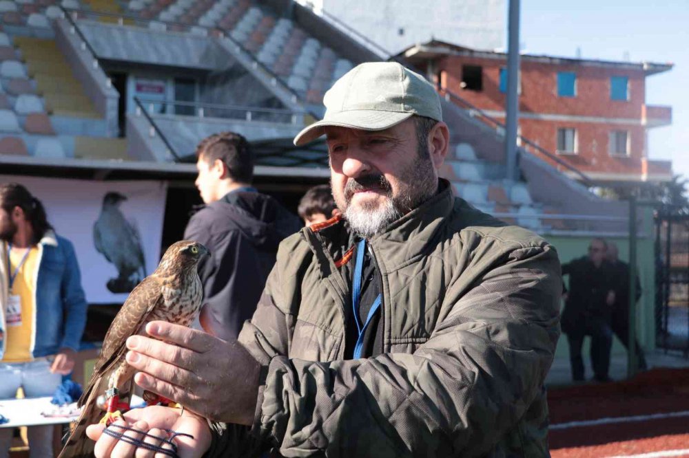 RİZE'NİN ARDEŞEN İLÇESİNDE DÜZENLENEN ŞAHİN-ATMACA GÜZELLİK BECERİ VE DOĞAYA SALIM FESTİVALİ'NDE ATMACA VE ŞAHİNLER YARIŞTI