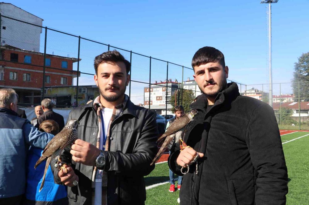 RİZE'NİN ARDEŞEN İLÇESİNDE DÜZENLENEN ŞAHİN-ATMACA GÜZELLİK BECERİ VE DOĞAYA SALIM FESTİVALİ'NDE ATMACA VE ŞAHİNLER YARIŞTI