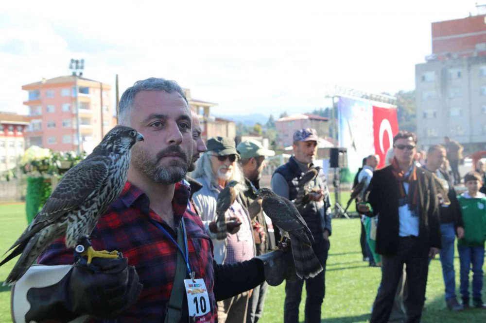 RİZE'NİN ARDEŞEN İLÇESİNDE DÜZENLENEN ŞAHİN-ATMACA GÜZELLİK BECERİ VE DOĞAYA SALIM FESTİVALİ'NDE ATMACA VE ŞAHİNLER YARIŞTI
