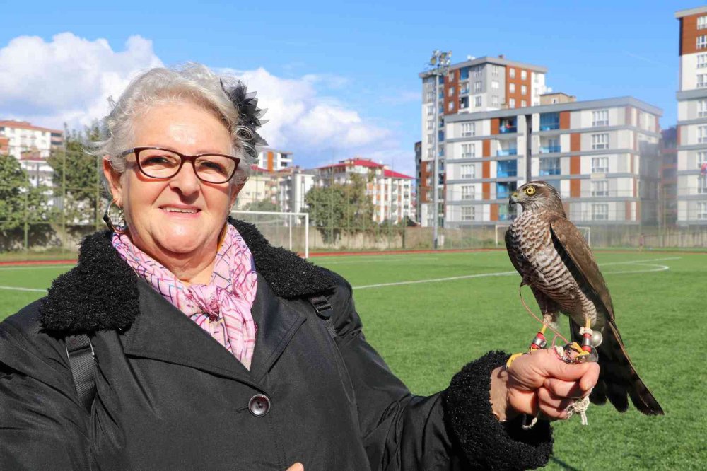 RİZE'NİN ARDEŞEN İLÇESİNDE DÜZENLENEN ŞAHİN-ATMACA GÜZELLİK BECERİ VE DOĞAYA SALIM FESTİVALİ'NDE ATMACA VE ŞAHİNLER YARIŞTI