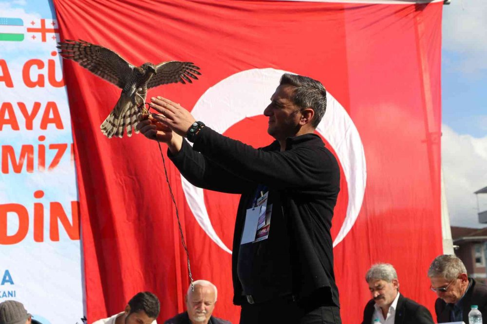 RİZE'NİN ARDEŞEN İLÇESİNDE DÜZENLENEN ŞAHİN-ATMACA GÜZELLİK BECERİ VE DOĞAYA SALIM FESTİVALİ'NDE ATMACA VE ŞAHİNLER YARIŞTI