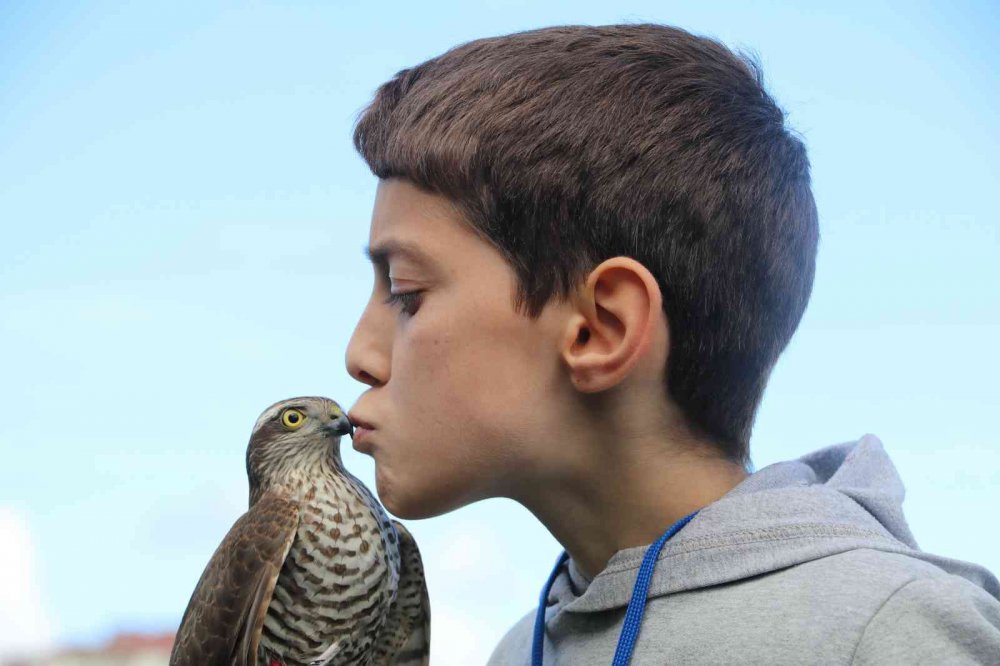 RİZE'NİN ARDEŞEN İLÇESİNDE DÜZENLENEN ŞAHİN-ATMACA GÜZELLİK BECERİ VE DOĞAYA SALIM FESTİVALİ'NDE ATMACA VE ŞAHİNLER YARIŞTI