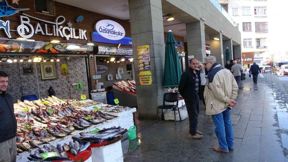 KARADENİZ'DE SON YILLARIN EN BEREKETLİ PALAMUT AVI SÜRÜYOR. ÖZELLİKLE SON 1 AYDIR PALAMUTTA SON YILLARIN EN BOL VE EN UCUZ DÖNEMİ YAŞANIRKEN BALIKÇILAR DA VATANDAŞLAR DA BU DURUMDAN MEMNUN