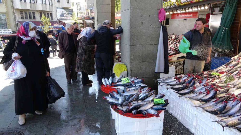 KARADENİZ'DE SON YILLARIN EN BEREKETLİ PALAMUT AVI SÜRÜYOR. ÖZELLİKLE SON 1 AYDIR PALAMUTTA SON YILLARIN EN BOL VE EN UCUZ DÖNEMİ YAŞANIRKEN BALIKÇILAR DA VATANDAŞLAR DA BU DURUMDAN MEMNUN