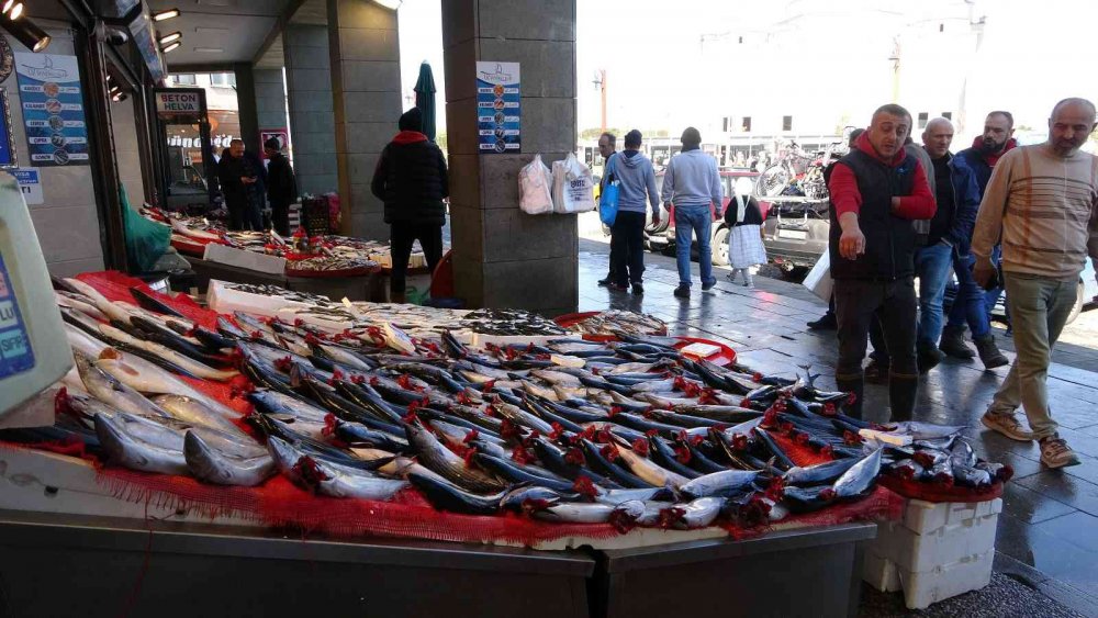 KARADENİZ'DE SON YILLARIN EN BEREKETLİ PALAMUT AVI SÜRÜYOR. ÖZELLİKLE SON 1 AYDIR PALAMUTTA SON YILLARIN EN BOL VE EN UCUZ DÖNEMİ YAŞANIRKEN BALIKÇILAR DA VATANDAŞLAR DA BU DURUMDAN MEMNUN