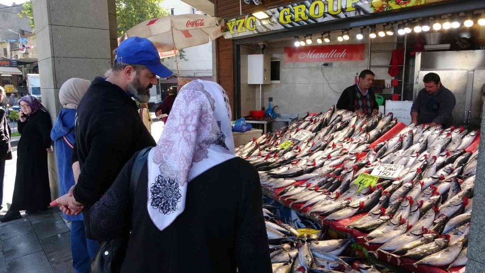 KARADENİZ'DE SON YILLARIN EN BEREKETLİ PALAMUT AVI SÜRÜYOR. ÖZELLİKLE SON 1 AYDIR PALAMUTTA SON YILLARIN EN BOL VE EN UCUZ DÖNEMİ YAŞANIRKEN BALIKÇILAR DA VATANDAŞLAR DA BU DURUMDAN MEMNUN