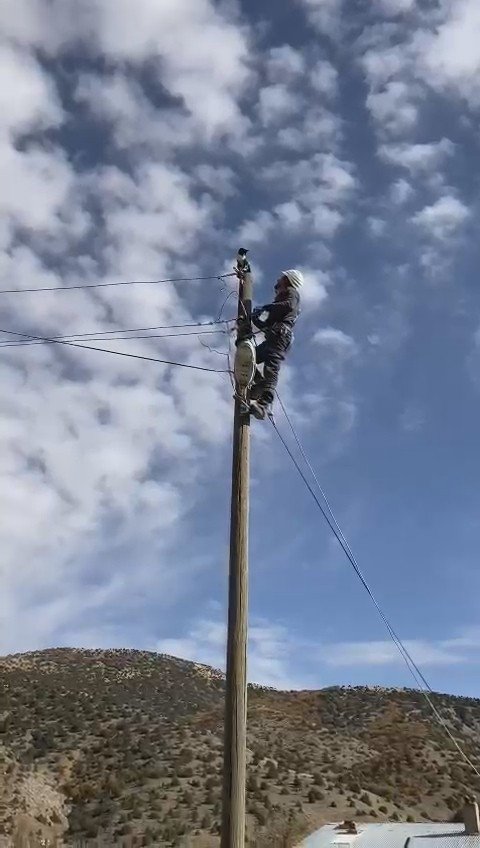 GÜMÜŞHANE'NİN KELKİT İLÇESİNDE ELEKTRİK DİREĞİNDE MAHSUR KALAN KEDİNİN İMDADINA ELEKTRİK DAĞITIM ŞİRKETİ GÖREVLİLERİ YETİŞTİ