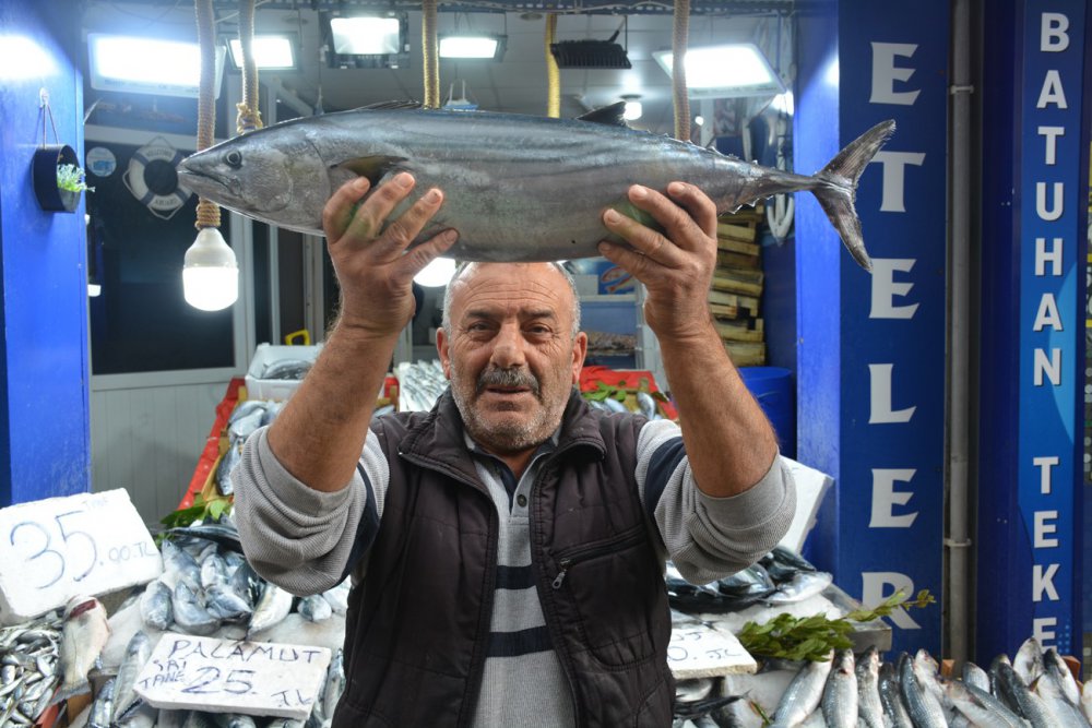 SİNOP'TA BALIKÇILAR TARAFINDAN AVLANAN VE HER BİRİ 5 İLE 7 KİLOGRAM AĞIRLIĞINDA OLAN TORİKLER, TEZGAHLARDA TANESİ 600 İLA 700 LİRADAN SATIŞA SUNULUYOR