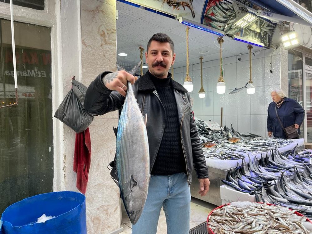SİNOP'TA BALIKÇILAR TARAFINDAN AVLANAN VE HER BİRİ 5 İLE 7 KİLOGRAM AĞIRLIĞINDA OLAN TORİKLER, TEZGAHLARDA TANESİ 600 İLA 700 LİRADAN SATIŞA SUNULUYOR