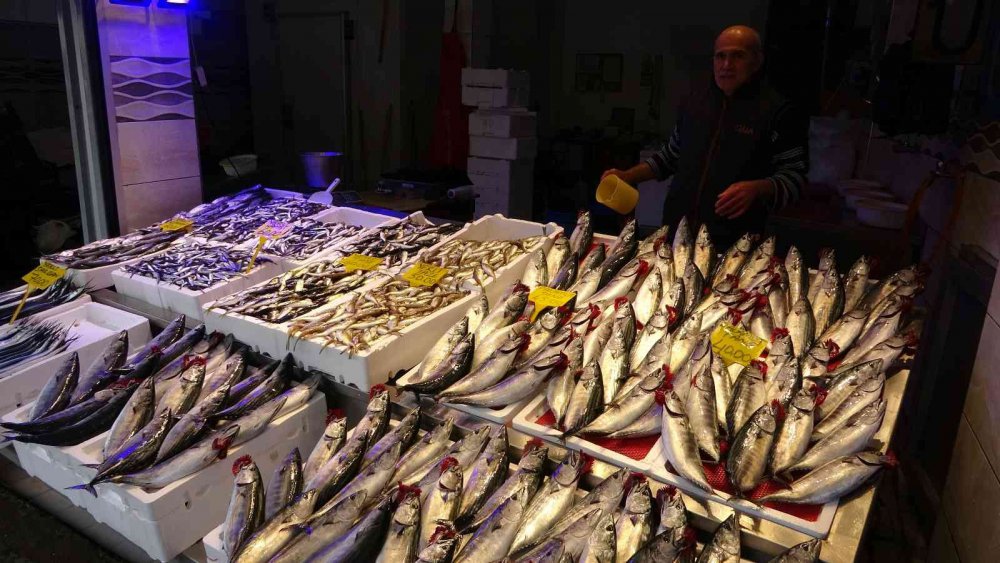 KARADENİZ'DE SON YILLARIN EN BEREKETLİ PALAMUT SEZONU YAŞANIRKEN, BU GÜNLERDE ARTIK PALAMUT AVININ SONUNA GELİNİYOR.PALAMUT AVINDA DÜŞÜŞ, DİĞER BALIK ÇEŞİTLERİNİN AVINDA İSE ARTIŞ YAŞANIYOR