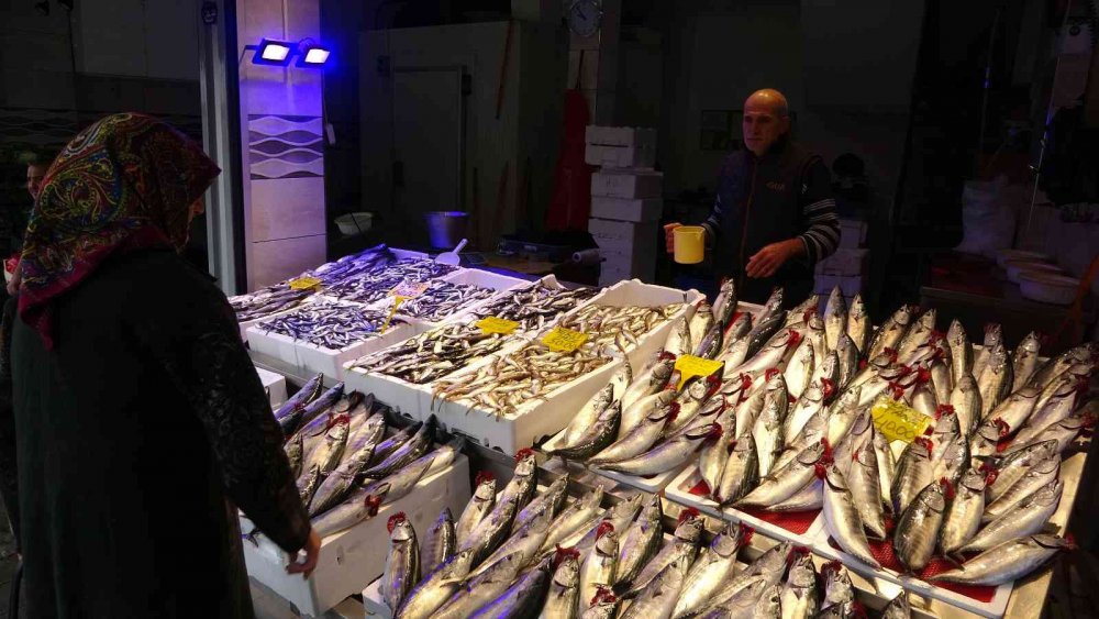 KARADENİZ'DE SON YILLARIN EN BEREKETLİ PALAMUT SEZONU YAŞANIRKEN, BU GÜNLERDE ARTIK PALAMUT AVININ SONUNA GELİNİYOR.PALAMUT AVINDA DÜŞÜŞ, DİĞER BALIK ÇEŞİTLERİNİN AVINDA İSE ARTIŞ YAŞANIYOR