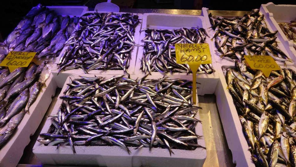 KARADENİZ'DE SON YILLARIN EN BEREKETLİ PALAMUT SEZONU YAŞANIRKEN, BU GÜNLERDE ARTIK PALAMUT AVININ SONUNA GELİNİYOR.PALAMUT AVINDA DÜŞÜŞ, DİĞER BALIK ÇEŞİTLERİNİN AVINDA İSE ARTIŞ YAŞANIYOR