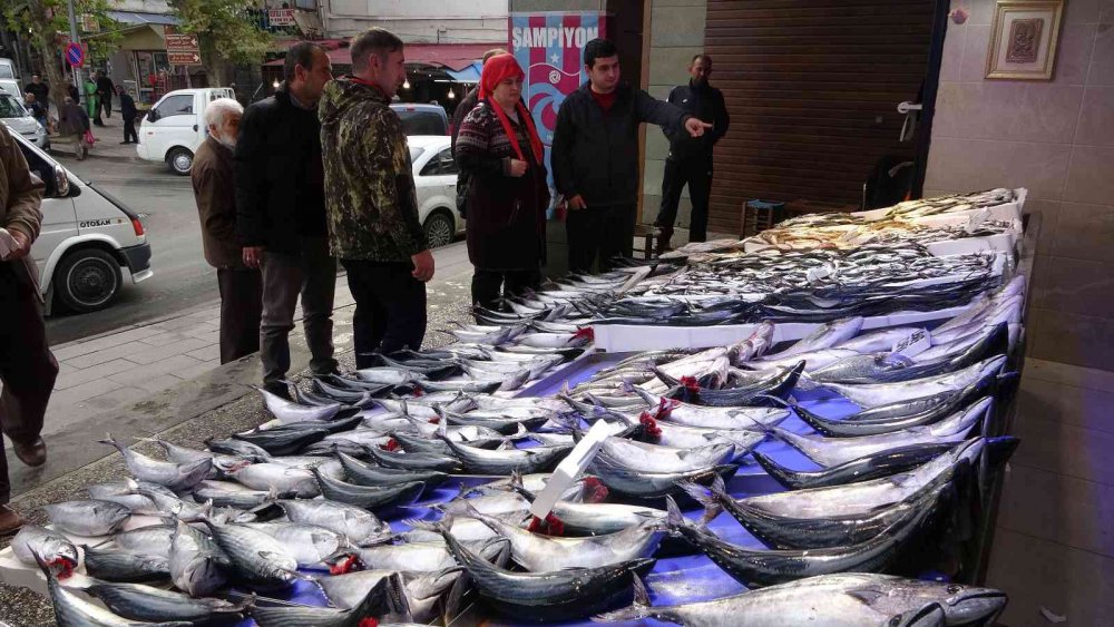 KARADENİZ'DE SON YILLARIN EN BEREKETLİ PALAMUT SEZONU YAŞANIRKEN, BU GÜNLERDE ARTIK PALAMUT AVININ SONUNA GELİNİYOR.PALAMUT AVINDA DÜŞÜŞ, DİĞER BALIK ÇEŞİTLERİNİN AVINDA İSE ARTIŞ YAŞANIYOR