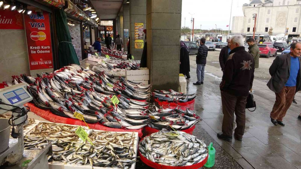 KARADENİZ'DE SON YILLARIN EN BEREKETLİ PALAMUT SEZONU YAŞANIRKEN, BU GÜNLERDE ARTIK PALAMUT AVININ SONUNA GELİNİYOR.PALAMUT AVINDA DÜŞÜŞ, DİĞER BALIK ÇEŞİTLERİNİN AVINDA İSE ARTIŞ YAŞANIYOR