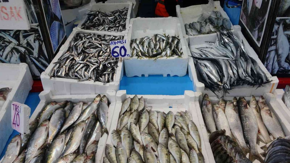 KARADENİZ'DE SON YILLARIN EN BEREKETLİ PALAMUT SEZONU YAŞANIRKEN, BU GÜNLERDE ARTIK PALAMUT AVININ SONUNA GELİNİYOR.PALAMUT AVINDA DÜŞÜŞ, DİĞER BALIK ÇEŞİTLERİNİN AVINDA İSE ARTIŞ YAŞANIYOR