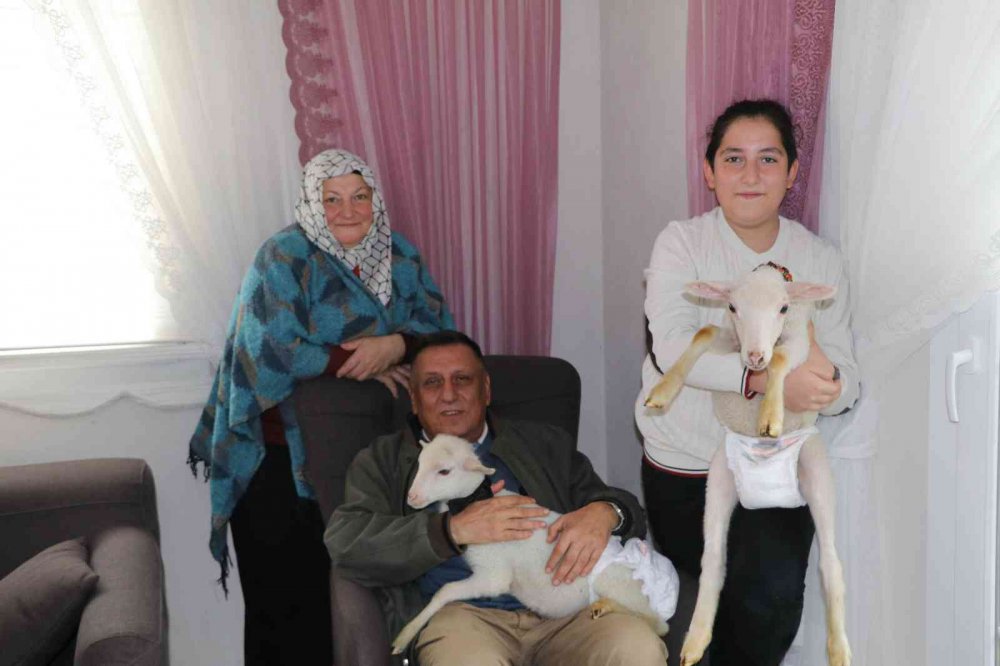 RİZE'NİN ARDEŞEN İLEŞESİNDE YAŞAYAN  BAYRAKTUTAN AİLESİ ANNELERİ ÖLMÜŞ KUZULARA EVLERİNDE BEBEK GİBİ BAKIYORLAR