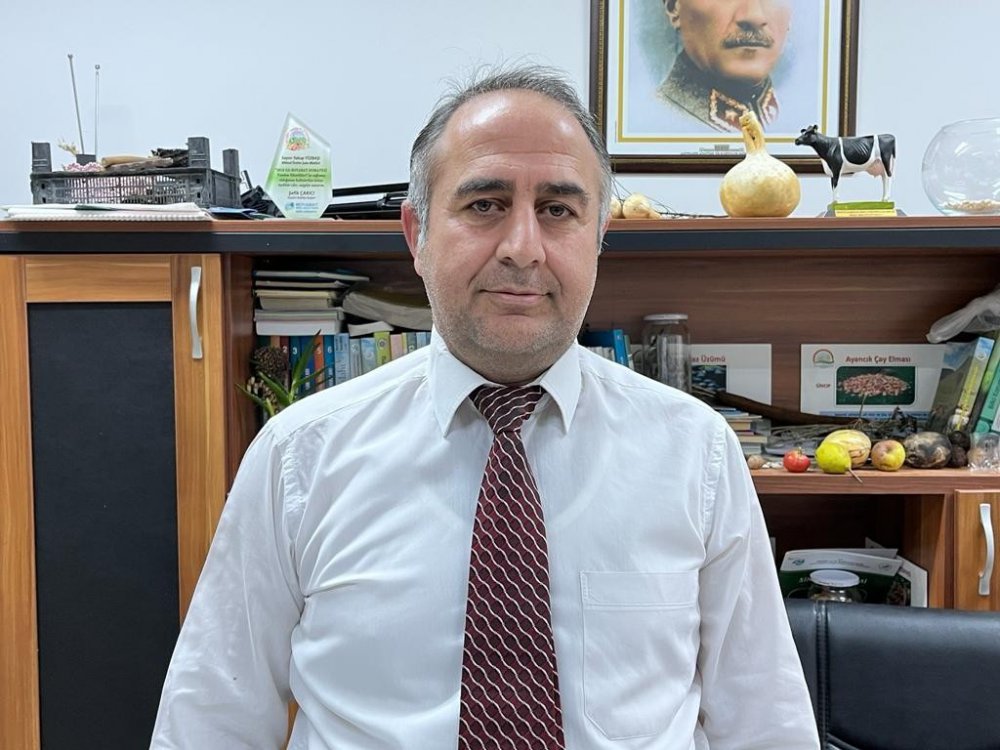 SİNOP'UN GÖZDE MEYVESİ "BİLEYDİN" BİRÇOK FAYDASI İLE DİKKAT ÇEKİYOR. DOĞADA KENDİLİĞİNDEN YETİŞEN VE RENKLERİYLE AĞAÇLARI SÜSLEYEN, GENELLİKLE DAĞ ÇİLEĞİ OLARAK BİLİNEN "BİLEYDİN" MEYVESİ, KIŞIN HABERCİSİ OLARAK DA ANILIYOR