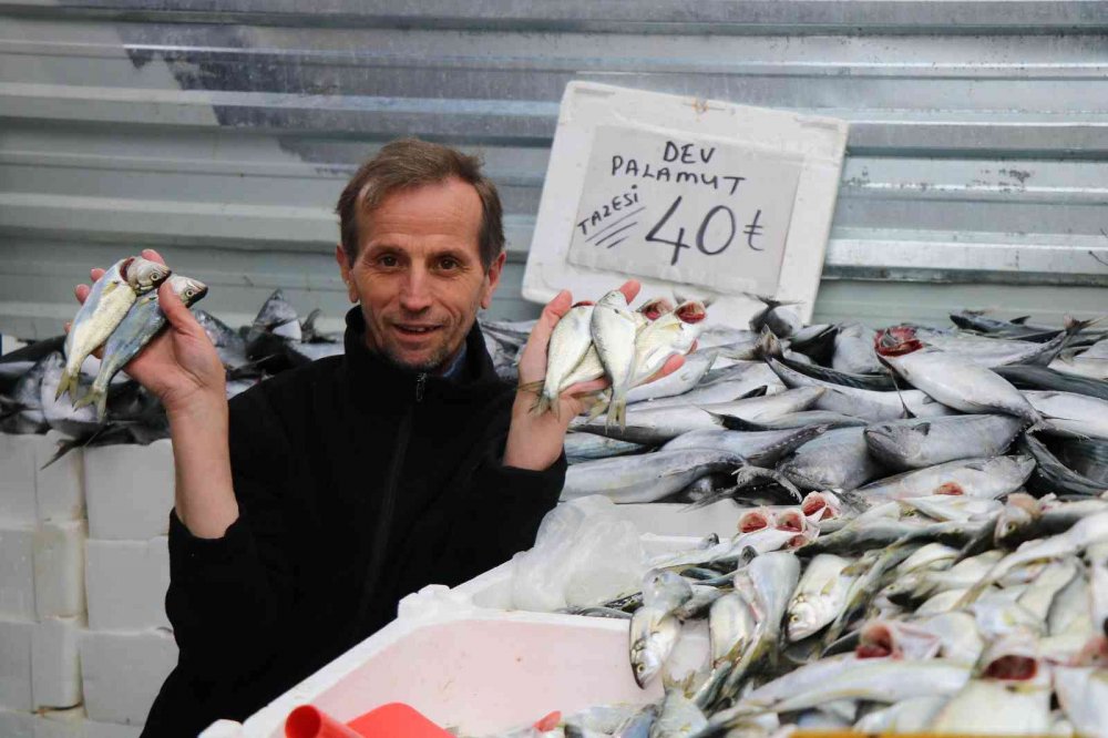 PALAMUDA GÜLE GÜLE, ÇİNEKOPA MERHABA. KARADENİZ'DE YAKIN ZAMANDA KİLOSU 100 TL'DEN SATILAN ÇİNEKOP, YAŞANAN BOLLUĞUN ARDINDAN 50 TL'YE SATILMAYA BAŞLANINCA VATANDAŞLAR TARAFINDAN YOĞUN İLGİ GÖRDÜ