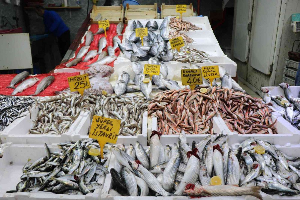 PALAMUDA GÜLE GÜLE, ÇİNEKOPA MERHABA. KARADENİZ'DE YAKIN ZAMANDA KİLOSU 100 TL'DEN SATILAN ÇİNEKOP, YAŞANAN BOLLUĞUN ARDINDAN 50 TL'YE SATILMAYA BAŞLANINCA VATANDAŞLAR TARAFINDAN YOĞUN İLGİ GÖRDÜ