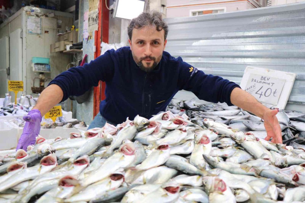 PALAMUDA GÜLE GÜLE, ÇİNEKOPA MERHABA. KARADENİZ'DE YAKIN ZAMANDA KİLOSU 100 TL'DEN SATILAN ÇİNEKOP, YAŞANAN BOLLUĞUN ARDINDAN 50 TL'YE SATILMAYA BAŞLANINCA VATANDAŞLAR TARAFINDAN YOĞUN İLGİ GÖRDÜ