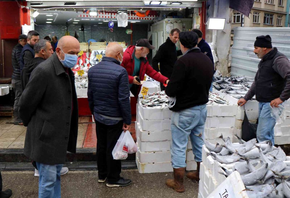 PALAMUDA GÜLE GÜLE, ÇİNEKOPA MERHABA. KARADENİZ'DE YAKIN ZAMANDA KİLOSU 100 TL'DEN SATILAN ÇİNEKOP, YAŞANAN BOLLUĞUN ARDINDAN 50 TL'YE SATILMAYA BAŞLANINCA VATANDAŞLAR TARAFINDAN YOĞUN İLGİ GÖRDÜ