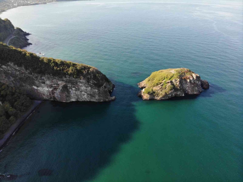 TÜRKİYE'DE, TEPELİ KARABATAK KUŞLARININ YUVA YAPTIĞI İKİ BÖLGEDEN BİRİ OLAN VE ÇİFT GÜMÜŞ MARTILARIN YAŞADIĞI ORDU'NUN PERŞEMBE İLÇESİNDEKİ "HOYNAT ADASI" ZİYARETÇİLERİN BEĞENİSİNİ KAZANIYOR