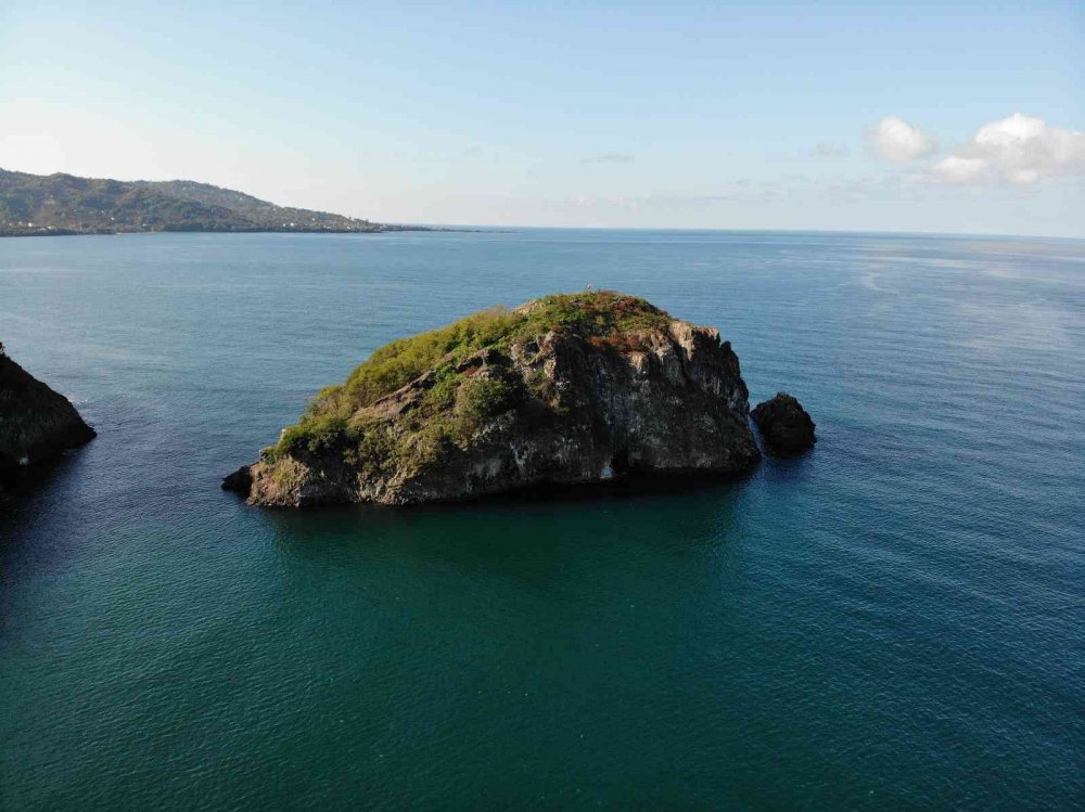 TÜRKİYE'DE, TEPELİ KARABATAK KUŞLARININ YUVA YAPTIĞI İKİ BÖLGEDEN BİRİ OLAN VE ÇİFT GÜMÜŞ MARTILARIN YAŞADIĞI ORDU'NUN PERŞEMBE İLÇESİNDEKİ "HOYNAT ADASI" ZİYARETÇİLERİN BEĞENİSİNİ KAZANIYOR