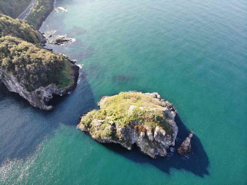 TÜRKİYE'DE, TEPELİ KARABATAK KUŞLARININ YUVA YAPTIĞI İKİ BÖLGEDEN BİRİ OLAN VE ÇİFT GÜMÜŞ MARTILARIN YAŞADIĞI ORDU'NUN PERŞEMBE İLÇESİNDEKİ "HOYNAT ADASI" ZİYARETÇİLERİN BEĞENİSİNİ KAZANIYOR