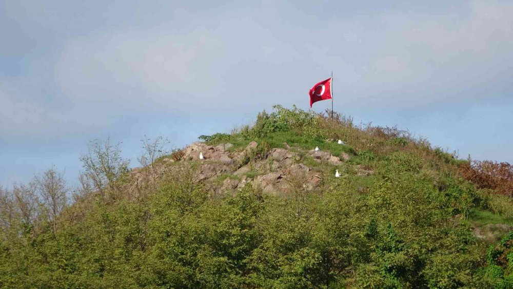 TÜRKİYE'DE, TEPELİ KARABATAK KUŞLARININ YUVA YAPTIĞI İKİ BÖLGEDEN BİRİ OLAN VE ÇİFT GÜMÜŞ MARTILARIN YAŞADIĞI ORDU'NUN PERŞEMBE İLÇESİNDEKİ "HOYNAT ADASI" ZİYARETÇİLERİN BEĞENİSİNİ KAZANIYOR