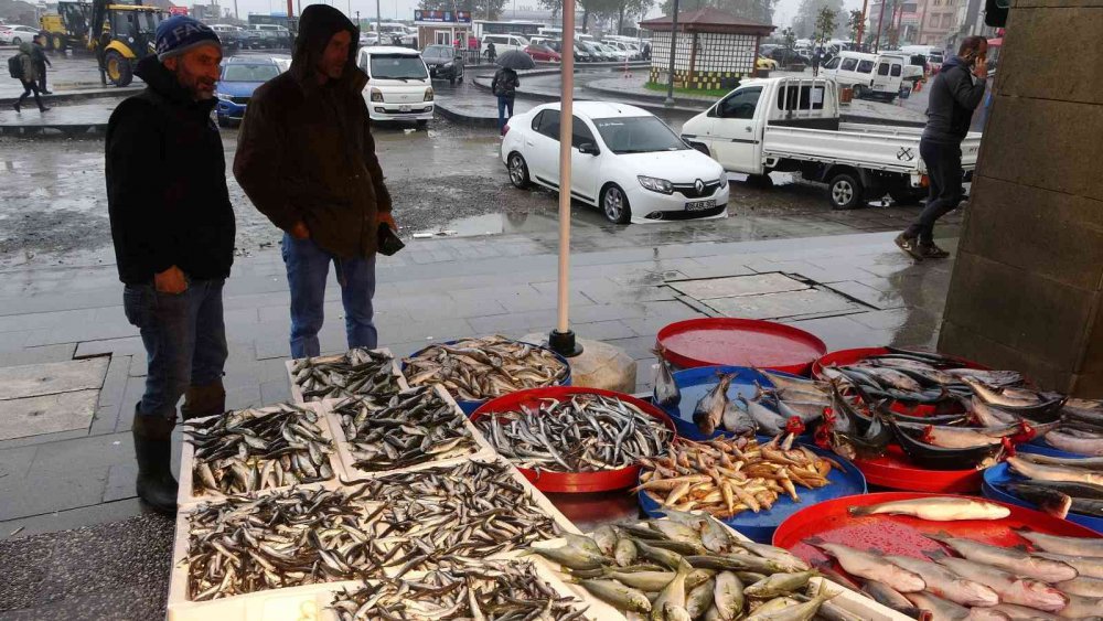 AZALAN PALAMUT AVI YERİNE YAVAŞ YAVAŞ HAMSİ AVINA BIRAKIRKEN, TRABZON BALIK HALİ'NDE BİR HAFTA ÖNCE KİLOSU 65-70 TL'DEN SATILAN HAMSİ DENİZDE BOLLAŞINCA BUGÜN İTİBARİYLE KİLOSU 35-50 TL ARASINDA SATILMAYA BAŞLANDI