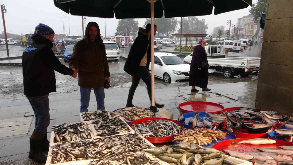 AZALAN PALAMUT AVI YERİNE YAVAŞ YAVAŞ HAMSİ AVINA BIRAKIRKEN, TRABZON BALIK HALİ'NDE BİR HAFTA ÖNCE KİLOSU 65-70 TL'DEN SATILAN HAMSİ DENİZDE BOLLAŞINCA BUGÜN İTİBARİYLE KİLOSU 35-50 TL ARASINDA SATILMAYA BAŞLANDI