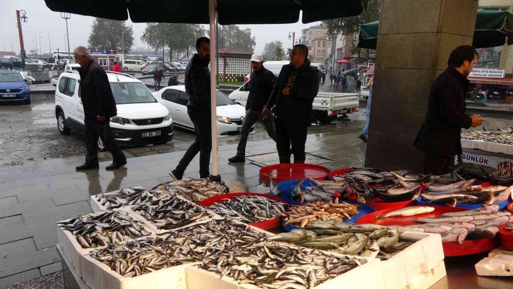 AZALAN PALAMUT AVI YERİNE YAVAŞ YAVAŞ HAMSİ AVINA BIRAKIRKEN, TRABZON BALIK HALİ'NDE BİR HAFTA ÖNCE KİLOSU 65-70 TL'DEN SATILAN HAMSİ DENİZDE BOLLAŞINCA BUGÜN İTİBARİYLE KİLOSU 35-50 TL ARASINDA SATILMAYA BAŞLANDI