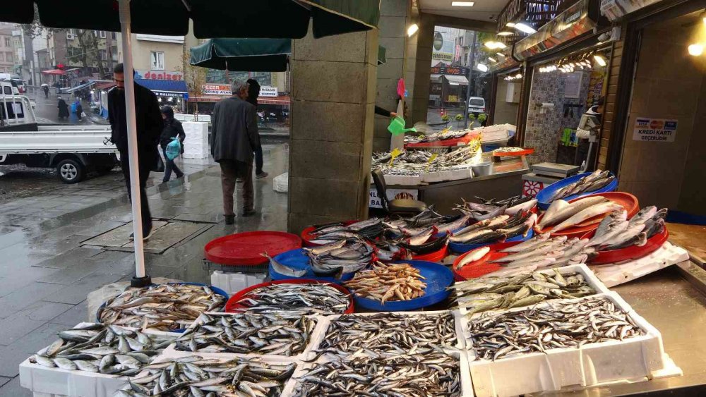 AZALAN PALAMUT AVI YERİNE YAVAŞ YAVAŞ HAMSİ AVINA BIRAKIRKEN, TRABZON BALIK HALİ'NDE BİR HAFTA ÖNCE KİLOSU 65-70 TL'DEN SATILAN HAMSİ DENİZDE BOLLAŞINCA BUGÜN İTİBARİYLE KİLOSU 35-50 TL ARASINDA SATILMAYA BAŞLANDI