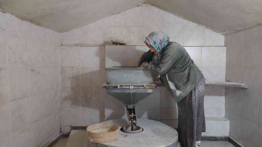 RİZE'NİN BİRÇOK COĞRAFİ İŞARETLİ ÜRÜNLERİN VE EKMEKLERİN YAPIMINDA KULLANILAN MISIR UNU HAZIR HALDE MARKETLERDEN ALMAK YERİNE KÖY HALKI TARİHİ DEĞİRMENLERDEN UNU KENDİLERİ ÜRETMEYİ TERCİH EDİYOR