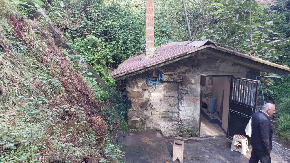 RİZE'NİN BİRÇOK COĞRAFİ İŞARETLİ ÜRÜNLERİN VE EKMEKLERİN YAPIMINDA KULLANILAN MISIR UNU HAZIR HALDE MARKETLERDEN ALMAK YERİNE KÖY HALKI TARİHİ DEĞİRMENLERDEN UNU KENDİLERİ ÜRETMEYİ TERCİH EDİYOR