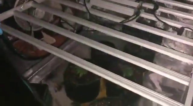 SAKARYA'DA UYUŞTURUCUYLA MÜCADELE ÇERÇEVESİNDE SON BİR HAFTA İÇİNDE POLİS EKİPLERİNCE GERÇEKLEŞTİRİLEN OPERASYONLARDA ÇOK MİKTARDA UYUŞTURUCU MADDE ELE GEÇİRİLDİ, 103 ŞÜPHELİ YAKALANDI