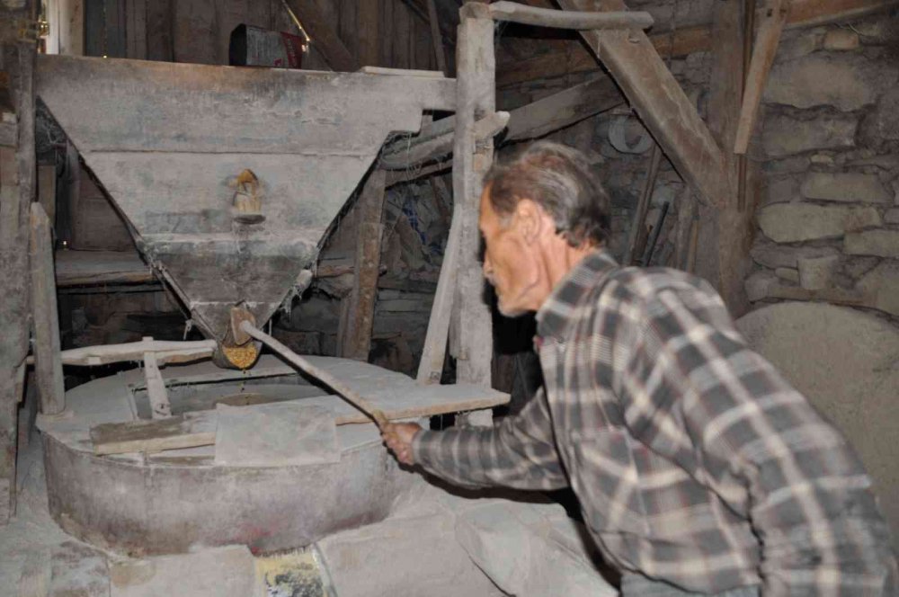 YAKLAŞIK 100 YILLIK TARİHİ DEĞİRMEN YILLARA DİRENİYOR. BOLU'NUN MUDURNU İLÇESİNDE YAŞAYAN 71 YAŞINDAKİ İSMAİL KUŞCUOĞLU, DEDESİNDEN YADİGAR KALAN 100 YILLIK DEĞİRMENİ KULLANIYOR.