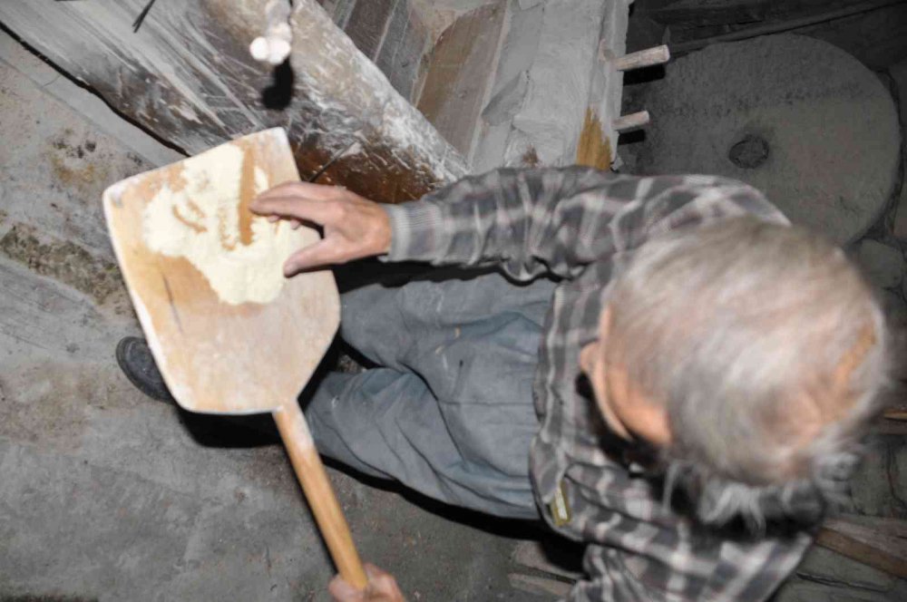 YAKLAŞIK 100 YILLIK TARİHİ DEĞİRMEN YILLARA DİRENİYOR. BOLU'NUN MUDURNU İLÇESİNDE YAŞAYAN 71 YAŞINDAKİ İSMAİL KUŞCUOĞLU, DEDESİNDEN YADİGAR KALAN 100 YILLIK DEĞİRMENİ KULLANIYOR.