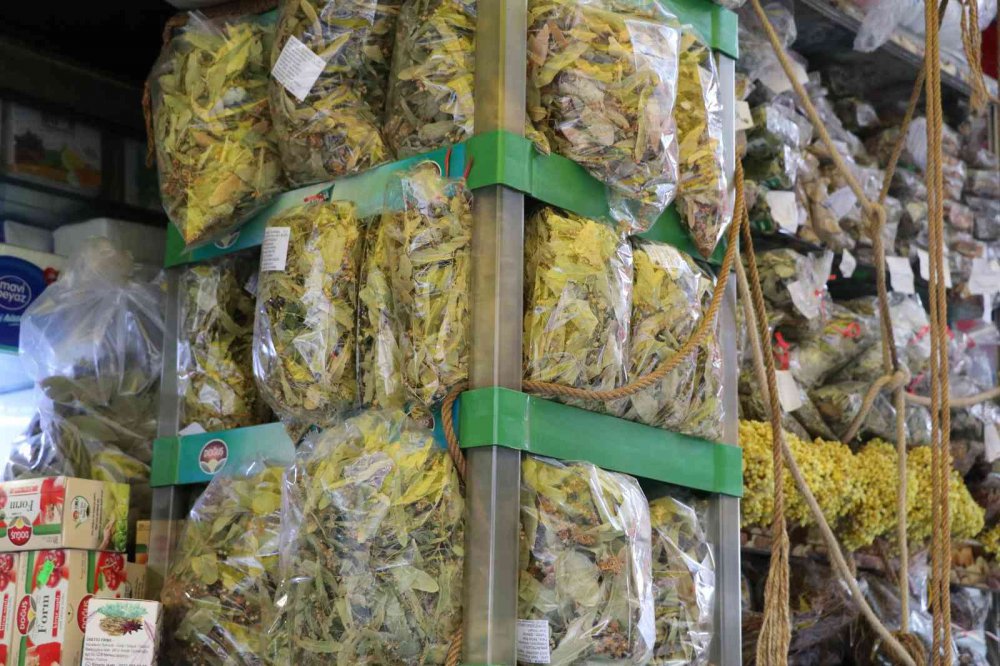 KIŞ AYLARININ VAZGEÇİLMEZİ OLAN IHLAMUR TÜKETİCİNİN CEBİNİ YAKMASINA RAĞMEN SAĞLIK İÇİN TERCİH EDİLMEYE DEVAM EDİLİYOR.GEÇEN SENE IHLAMUR ÇİÇEĞİNİN KİLOGRAM FİYATI 500 TL İKEN BU YIL 600 TL'YE KADAR YÜKSELDİ